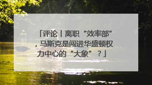 评论丨离职“效率部”，马斯克是闯进华盛顿权力中心的“大象”？