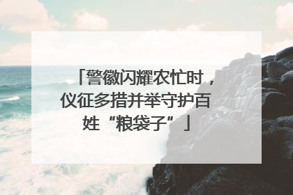 警徽闪耀农忙时，仪征多措并举守护百姓“粮袋子”
