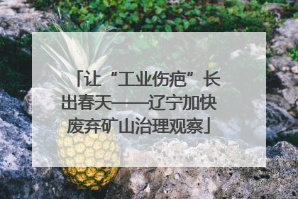 让“工业伤疤”长出春天——辽宁加快废弃矿山治理观察