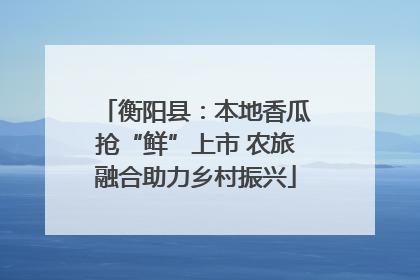 衡阳县：本地香瓜抢“鲜”上市 农旅融合助力乡村振兴