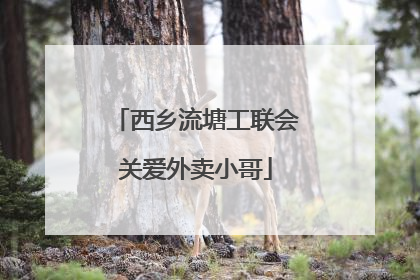 西乡流塘工联会关爱外卖小哥