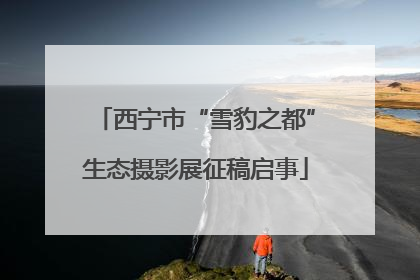 西宁市“雪豹之都”生态摄影展征稿启事