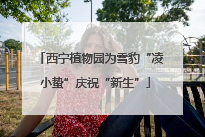 西宁植物园为雪豹“凌小蛰”庆祝“新生”