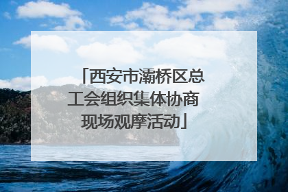 西安市灞桥区总工会组织集体协商现场观摩活动