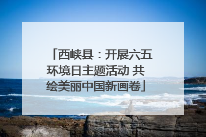 西峡县：开展六五环境日主题活动 共绘美丽中国新画卷
