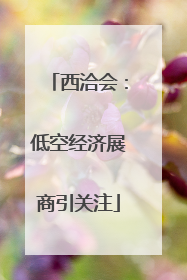 西洽会：低空经济展商引关注