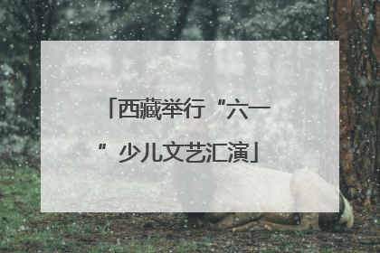 西藏举行“六一”少儿文艺汇演