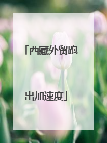 西藏外贸跑出加速度
