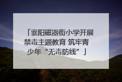 襄阳磁器街小学开展禁毒主题教育 筑牢青少年“无毒防线”