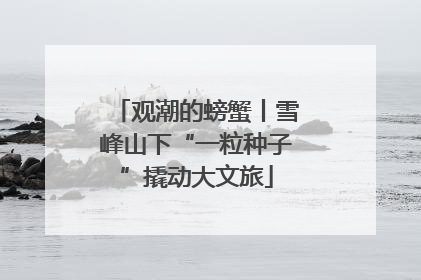 观潮的螃蟹丨雪峰山下“一粒种子”撬动大文旅