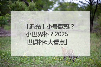 追光丨小号欧冠？小世界杯？2025世俱杯6大看点