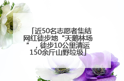 近50名志愿者集结网红徒步地“天鹅林场”，徒步10公里清运150余斤山野垃圾