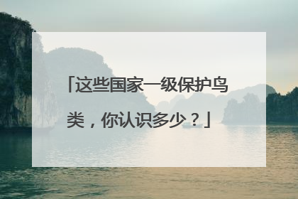 这些国家一级保护鸟类，你认识多少？