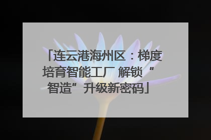 连云港海州区：梯度培育智能工厂 解锁“智造”升级新密码