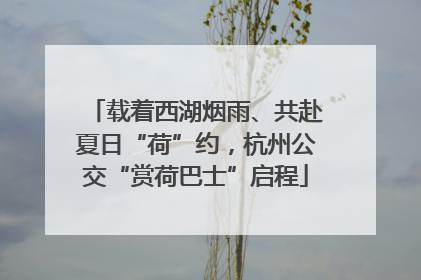 载着西湖烟雨、共赴夏日“荷”约，杭州公交“赏荷巴士”启程