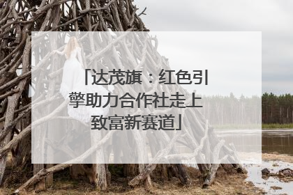 达茂旗：红色引擎助力合作社走上致富新赛道