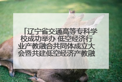 辽宁省交通高等专科学校成功举办 低空经济行业产教融合共同体成立大会暨共建低空经济产教融合新生态论坛