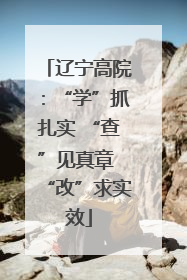 辽宁高院：“学”抓扎实 “查”见真章 “改”求实效
