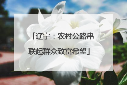 辽宁：农村公路串联起群众致富希望