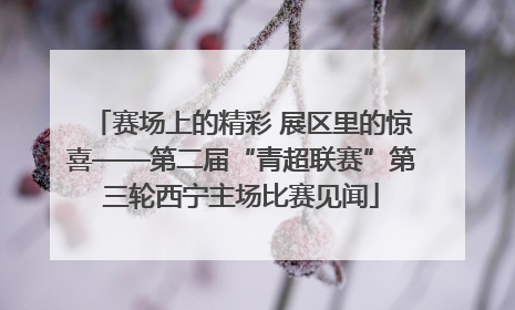 赛场上的精彩 展区里的惊喜——第二届“青超联赛”第三轮西宁主场比赛见闻
