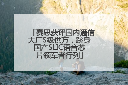 赛思获评国内通信大厂S级供方，跻身国产SLIC语音芯片领军者行列
