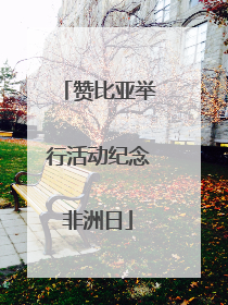 赞比亚举行活动纪念非洲日