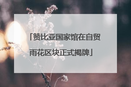 赞比亚国家馆在自贸雨花区块正式揭牌