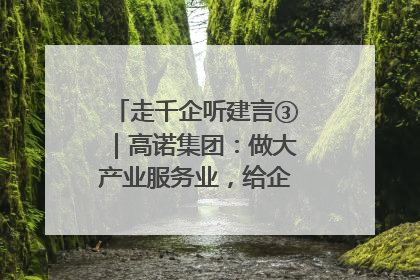 走千企听建言③｜高诺集团：做大产业服务业，给企业更多创新空间