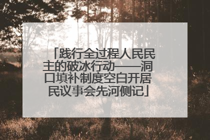 践行全过程人民民主的破冰行动——洞口填补制度空白开居民议事会先河侧记