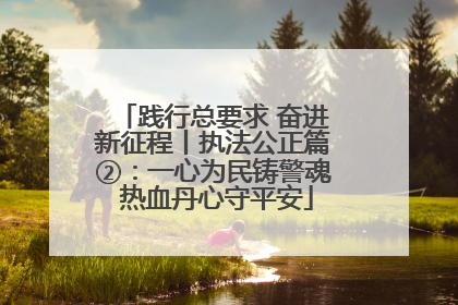 践行总要求 奋进新征程丨执法公正篇②：一心为民铸警魂 热血丹心守平安