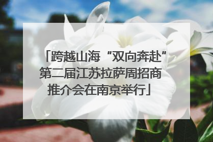 跨越山海“双向奔赴” 第二届江苏拉萨周招商推介会在南京举行