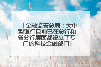 金融监管总局：大中型银行目前已在总行和省分行层面都设立了专门的科技金融部门