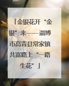 金银花开“金银”来——淄博市高青县常家镇共富路上“一路生花”