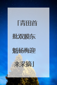 青田首批双膜东魁杨梅迎来采摘