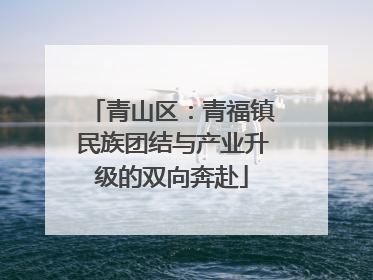 青山区：青福镇民族团结与产业升级的双向奔赴