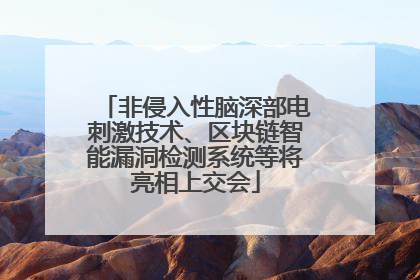 非侵入性脑深部电刺激技术、区块链智能漏洞检测系统等将亮相上交会