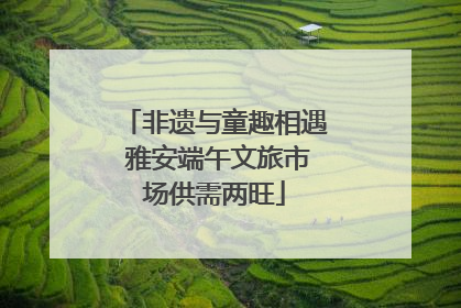 非遗与童趣相遇 雅安端午文旅市场供需两旺