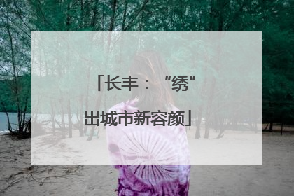 长丰：“绣”出城市新容颜