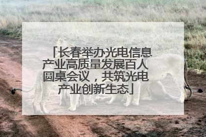 长春举办光电信息产业高质量发展百人圆桌会议，共筑光电产业创新生态