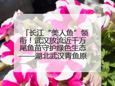 长江“美人鱼”领衔！武汉放流近千万尾鱼苗守护绿色生态——湖北武汉青鱼原种场参加2025年“全国放鱼日”增殖放流活动