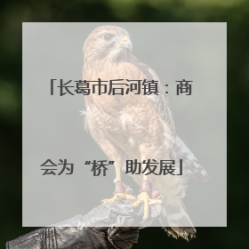长葛市后河镇：商会为“桥”助发展