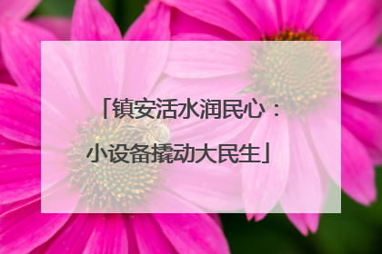 镇安活水润民心：小设备撬动大民生