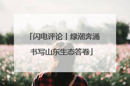 闪电评论丨绿潮奔涌 书写山东生态答卷