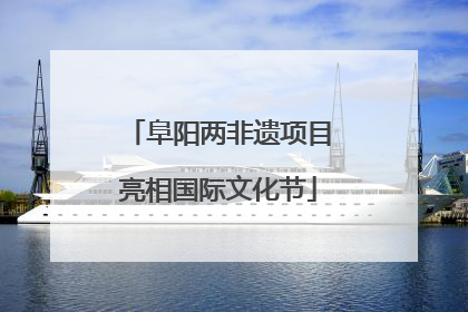 阜阳两非遗项目亮相国际文化节