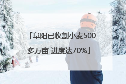 阜阳已收割小麦500多万亩 进度达70%