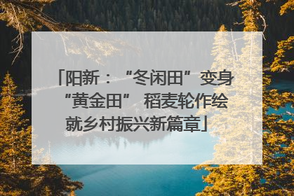 阳新：“冬闲田”变身“黄金田” 稻麦轮作绘就乡村振兴新篇章