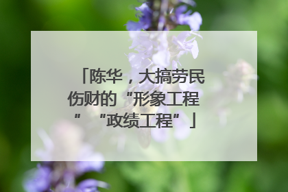 陈华，大搞劳民伤财的“形象工程”“政绩工程”