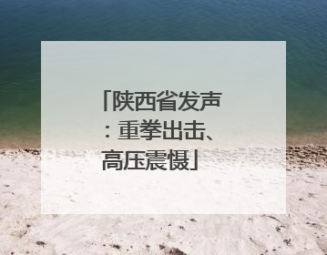 陕西省发声：重拳出击、高压震慑
