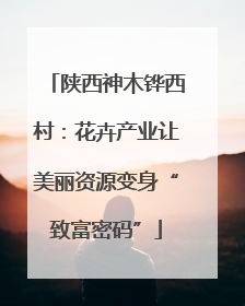 陕西神木铧西村：花卉产业让美丽资源变身“致富密码”