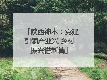 陕西神木：党建引领产业兴 乡村振兴谱新篇